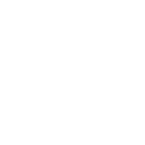 NAILBLISS PRESS ON NAILS